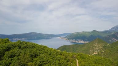 Участок в Тивате на продажу, 120000 евро, 2 гектара с видом на море